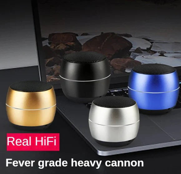 Senxin Portable Wireless Speaker