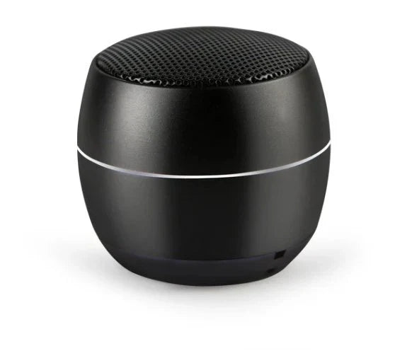 Senxin Portable Wireless Speaker